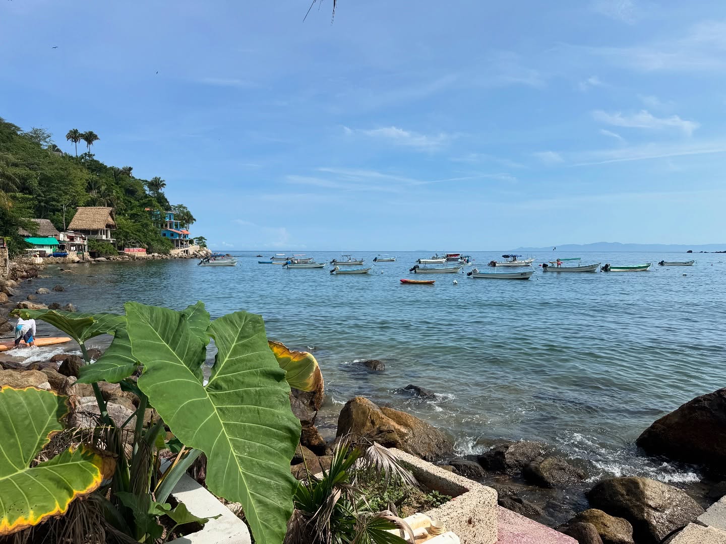🌺SACRED FEMININE RETREAT, Punta de Mita, Mexico  Aug 29 – Sept 4🌺