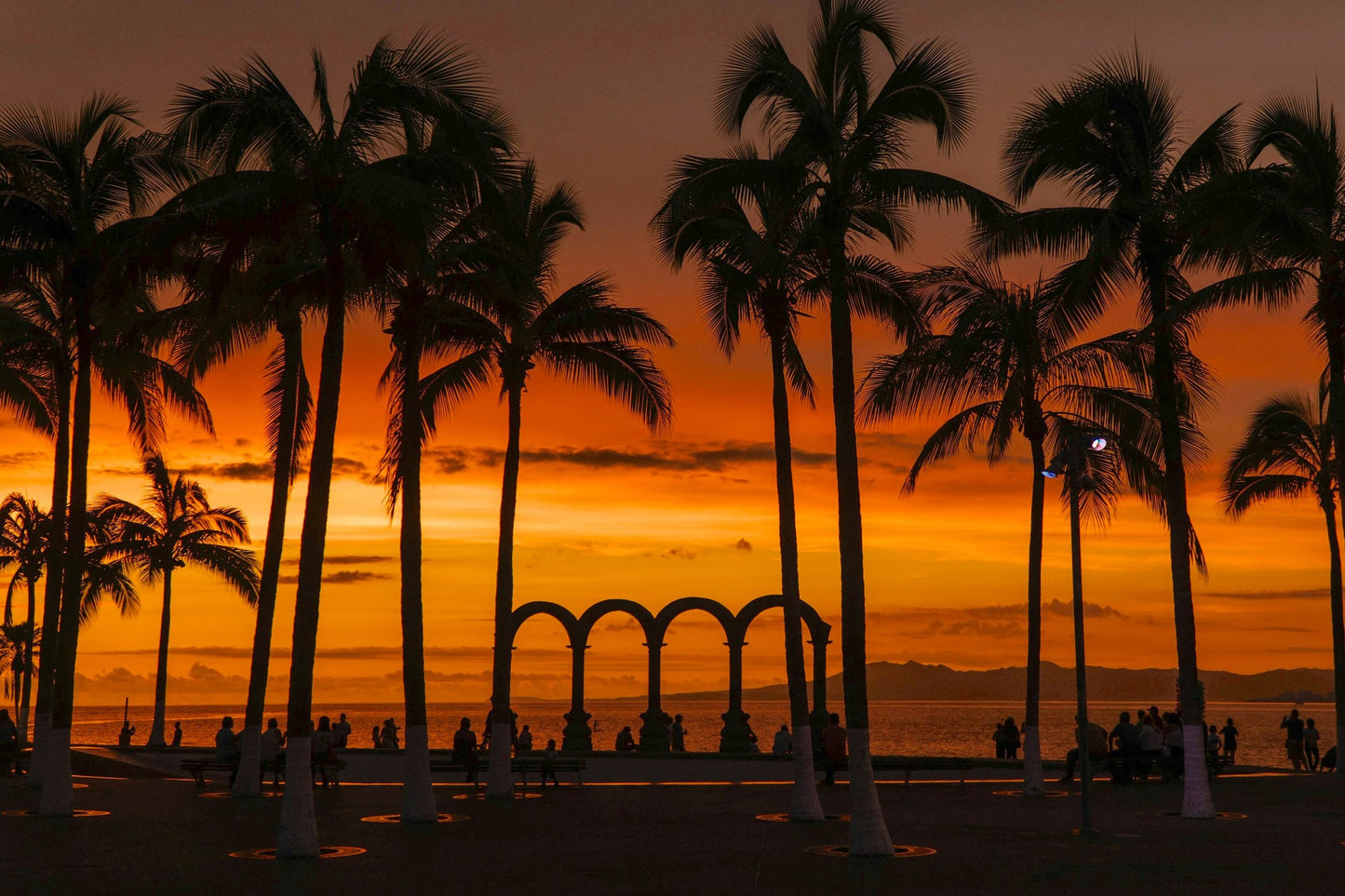 🌺SACRED FEMININE RETREAT 2026, Punta de Mita, Mexico Feb 20 – Feb 26🌺