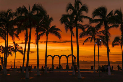 🌺SACRED FEMININE RETREAT 2026, Punta de Mita, Mexico Feb 20 – Feb 26🌺